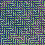 Animal_Collective_Merriweather_Post_Pavilion Animal_Collective_Merriweather_Post_Pavilion