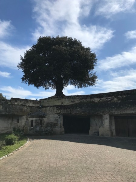 UNADJUSTEDNONRAW_thumb_14856