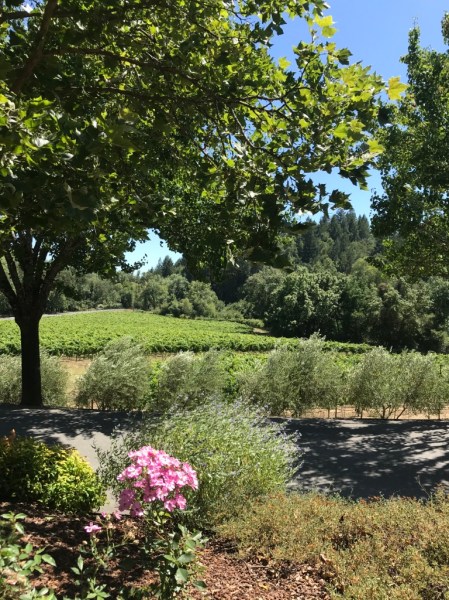 UNADJUSTEDNONRAW_thumb_14bd5