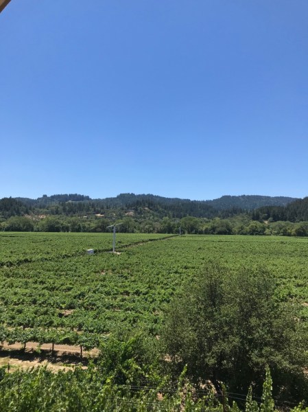 UNADJUSTEDNONRAW_thumb_14bfc