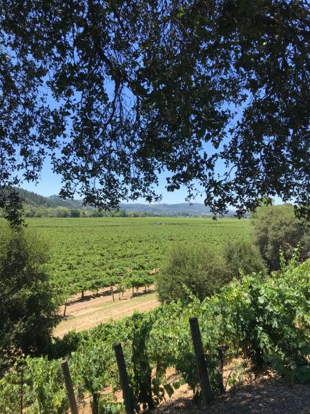 UNADJUSTEDNONRAW_thumb_14bfd