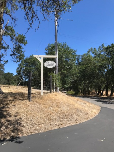 UNADJUSTEDNONRAW_thumb_14c03